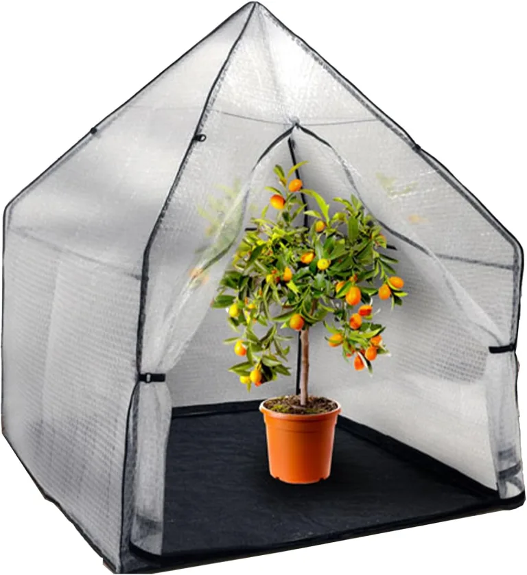 Noor Überwinterungszelt IGLU für Kübelpflanzen - wetterfestes UV-beständiges Winterschutzzelt - Robustes frostsicheres Foliengewächshaus mit 3-lagiger Luftpolsterfolie - Modell XL 180x180x220 cm – Bild 1