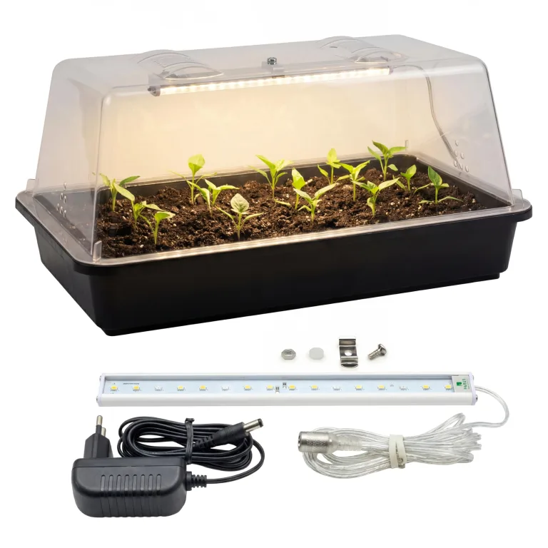 Romberg Lumio M LED Mini Gewächshaus mit LED Pflanzenbeleuchtung für Pflanzenanzucht, 5 W LED Wachstumslampe für Kräuter, Gemüse und Stecklinge, Indoor Anzuchtgewächshaus, 38 × 24 × 19 cm – Bild 1
