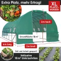 BRAST Gewächshaus Foliengewächshaus mit Stahlfundament | 2x3m - 3x8m | inkl. Erdanker Unkrautvlies & aufrollbare Seitenwände mit Moskitonetz | UV-stabilisierte Gitterschutzfolie 200g/m² | 300x600cm - Thumbnail 3