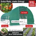 BRAST Gewächshaus Foliengewächshaus mit Stahlfundament | 2x3m - 3x8m | inkl. Erdanker Unkrautvlies & aufrollbare Seitenwände mit Moskitonetz | UV-stabilisierte Gitterschutzfolie 200g/m² | 300x800cm - Thumbnail 3