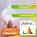 Bio Green Pflanzenleuchte FLORABOOSTER 500 - Weiß | LED Vollspektrum | Maximales Wachstum | Gewächshauslampe | Grow Light für Gemüse- & Zimmerpflanzen - Thumbnail 3