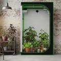 Kingpower Grow Zelt für Pflanzen Zuchtzelt Gewächshaus Box Zuchtschrank Garten Anzucht Gemüse Kräuter Grow Schrank Indoor Blumen klein Tomaten Hydro Green, Größe:120 x 120 x 200 cm (08) - Thumbnail 7