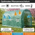 BRAST Gewächshaus Foliengewächshaus mit Stahlfundament | 2x3m - 3x8m | inkl. Erdanker Unkrautvlies & 6 Aufrollbare Fenster mit Moskitonetz | UV-stabilisierte Gitterschutzfolie 200g/m² | 200x300cm - Thumbnail 7