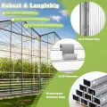 Froadp 14pcs Gewächshausplatten Zuschneidbar Stegplatten UV-Beständigen Polycarbonat Hohlkammerplatten 605x1210x4mm Polycarbonatplatten Transparente Doppelstegplatten für Garten Gewächshäuser - Thumbnail 7