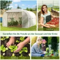 Outsunny Gewächshaus Gartentunnel Abm. 3,5L x 3l x 2H m Tür + 6 aufrollbare Fenster Verzinkter Stahl PE-Plane Hohe Dichte Weiß - Thumbnail 6