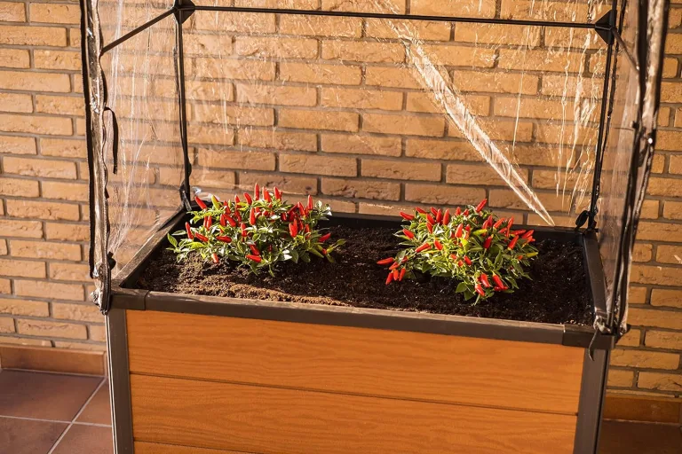 Keter Maple Gewächshaus, braun, Maße 104x71x34,5 cm, ideal für Salat, Blumen oder Kräuter, auch für Balkon, Terrasse oder City Gardening – Bild 4