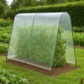 TERRE JARDIN Tomatengewächshaus mit Plane - Thumbnail 7
