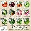 BIO Gartenjahr Samen Set I Gemüsesamen das ganze Jahr I 12 Monate Samen Gemüse I Gemüsesamen Set für Hochbeet, Balkon und Garten I Samen Set mit Gemüse Saatgut I 12er BIO Pflanzensamen Set – Bild 5