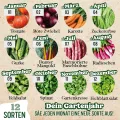 BIO Gartenjahr Samen Set I Gemüsesamen das ganze Jahr I 12 Monate Samen Gemüse I Gemüsesamen Set für Hochbeet, Balkon und Garten I Samen Set mit Gemüse Saatgut I 12er BIO Pflanzensamen Set - Thumbnail 9