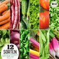 BIO Gartenjahr Samen Set I Gemüsesamen das ganze Jahr I 12 Monate Samen Gemüse I Gemüsesamen Set für Hochbeet, Balkon und Garten I Samen Set mit Gemüse Saatgut I 12er BIO Pflanzensamen Set - Thumbnail 6