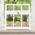 Relaxdays Mini Gewächhaus, 2er Set, für die Fensterbank, Indoor Treibhaus, Glas und MDF, Kräuter, Blumen, 2 Größen, weiß, 37 x 37.5 x 24 cm - Thumbnail 3