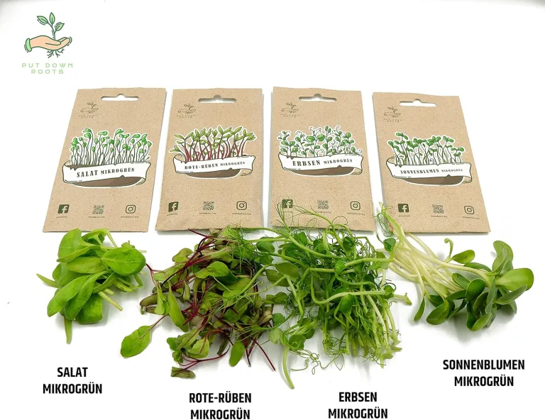 PUT DOWN ROOTS MIKROGRÜN ANZUCHTSET 4 Pflanzen Samen-Garten Starter-Set öko Saatgut mit Holzkiste mit Deckel, mini gewächshaus, kinderküche zubehör Kinder Anzuchtset – Bild 2