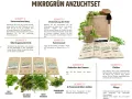 PUT DOWN ROOTS MIKROGRÜN ANZUCHTSET 4 Pflanzen Samen-Garten Starter-Set öko Saatgut mit Holzkiste mit Deckel, mini gewächshaus, kinderküche zubehör Kinder Anzuchtset - Thumbnail 4
