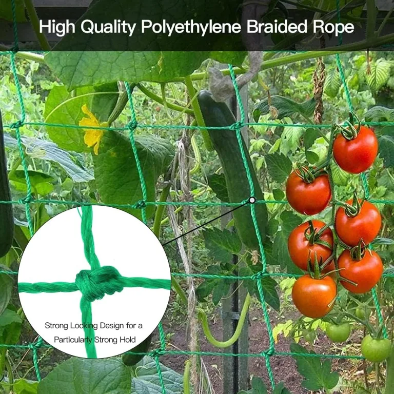 Ranknetz Verdickung Pflanzennetz mit Großer Maschenweite Rankhilfe Netz für Kletterpflanzen, Gurken,Tomaten und Anderen Gemüsepflanzen Gewächshaus Zubehör - 2m x 2.5m – Bild 11