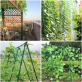Ranknetz Verdickung Pflanzennetz mit Großer Maschenweite Rankhilfe Netz für Kletterpflanzen, Gurken,Tomaten und Anderen Gemüsepflanzen Gewächshaus Zubehör - 2m x 2.5m - Thumbnail 13
