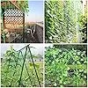Ranknetz Verdickung Pflanzennetz mit Großer Maschenweite Rankhilfe Netz für Kletterpflanzen, Gurken,Tomaten und Anderen Gemüsepflanzen Gewächshaus Zubehör - 2m x 2.5m - Thumbnail 6