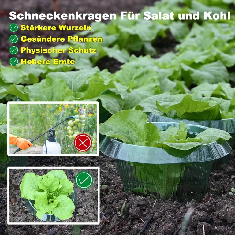 Upgrade Verstärkt Schnecken-Schutz | Schneckenkragen für Ihre Salatpflanzen und Kohl | Schneckenabwehr ohne Chemie |(68g/ stücke) – Bild 9