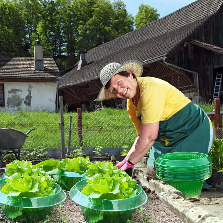 Upgrade Verstärkt Schnecken-Schutz | Schneckenkragen für Ihre Salatpflanzen und Kohl | Schneckenabwehr ohne Chemie |(68g/ stücke) – Bild 12