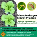 Upgrade Verstärkt Schnecken-Schutz | Schneckenkragen für Ihre Salatpflanzen und Kohl | Schneckenabwehr ohne Chemie |(68g/ stücke) - Thumbnail 10