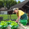 Upgrade Verstärkt Schnecken-Schutz | Schneckenkragen für Ihre Salatpflanzen und Kohl | Schneckenabwehr ohne Chemie |(68g/ stücke) - Thumbnail 12