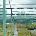 20 Stück Durchmesser 20 mm Gewächshaus Rahmen Rohr Tube Rod Clip Pflanze Kunststoff Film Net Feste Rohrschellen Anschluss Garten Schatten Zubehör Werkzeuge - Thumbnail 10