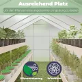 Gewächshaus Aluminium für den Garten |Mit 8 cm dickeres Fundament| 242*190*195 cm | Vielseitig nutzbar als Treibhaus Gartenhaus winterfest Aufzucht Tomatenhaus Frühbeet und Pflanzenhaus silber - Thumbnail 6