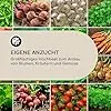 blumfeldt Rust Grow Hochbeet Gartenbeet, verzinktes Stahlblech, Materialstärke: 0,6 mm, einfache Montage, Rost-Finish, 200 x 60 x 100 cm (BxHxT) Rost - Thumbnail 2