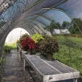 Sonnenschutznetz Schattennetz Mit ​öSen 80% Uv Blockieren, Rechteck Sonnenschirm Segel Outdoor,Sonnensegel Schatten Tuch FüR Garten Terrasse Pergola (2mx3m/6.6ftx9.8ft) - Thumbnail 8