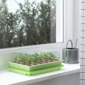 WELLGRO Mini Gewächshaus für Balkon & Garten für 24 Pflanzen – kleines Gewächshaus aus Kunststoff – Mini Treibhaus für Pflanzen, Kräuter & Anzucht, Stückzahl:2 Stück - Thumbnail 6
