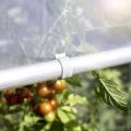 Windhager Ersatzclips für Tomatenhaus ALUSTAR, Gewächshausclips, Clips für Gewächshausfolie, Ersatz Klammern, 12 STK., weiß - Thumbnail 2