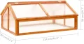 vidaXL Tannenholz Gewächshaus Aufzucht Frühbeet Frühbeetkasten Treibhaus Pflanzenhaus Gartenhaus Pflanzbeet Tomatenhaus Braun 114x80x50cm - Thumbnail 7