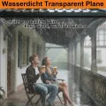 BeGrit 3M x 4M wasserdichte Transparente Plane mit Ösen Wetterfeste Plane Transparente Strapazierfähige Vordächer und Planen enthalten Spanngummi für Gartenmöbel Pflanzen Gewächshaus Pet Hutch Dach - Thumbnail 3
