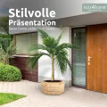 holz4home® Outdoor Pflanzkübel XL I 6-Eckig aus Tannenholz I inkl. Gartenhandschuhe & Vlies I Blumentopf Terrasse aus Holz I Pflanzkasten Pflanztopf Blumenkübel Balkon - Thumbnail 2
