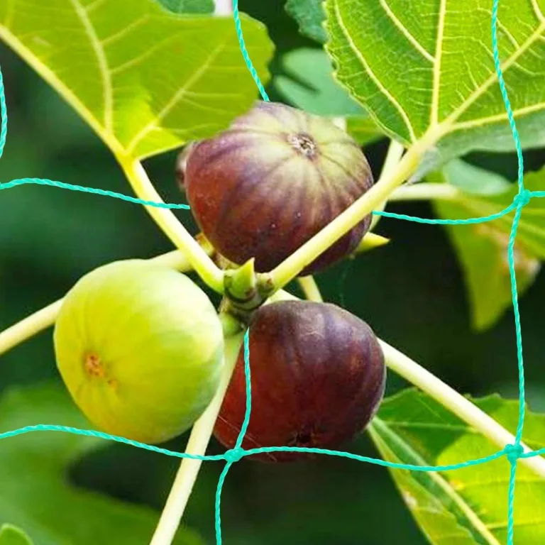 2 Stück Ranknetz für Rankhilfe Gurken, Tomaten Rankhilfe, Ranknetz für Kletterpflanzen Gewäch Gemüse,Bohnen Rankhilfe,Gewächshaus Zubehör - 1,8 x 1,8 m – Bild 6
