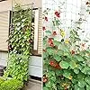 2 Stück Ranknetz für Rankhilfe Gurken, Tomaten Rankhilfe, Ranknetz für Kletterpflanzen Gewäch Gemüse,Bohnen Rankhilfe,Gewächshaus Zubehör - 1,8 x 1,8 m – Bild 3