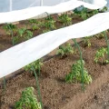 Mini Gewächshaus Tunnel Gewächshäuser für den Außenbereich, Gewächshaus Reifen, kleines Gewächshaus Kits zum Bauen, Gartenreifen, Hochbeete (Reifen + Abdeckung + Klammern + Clips) - Thumbnail 6