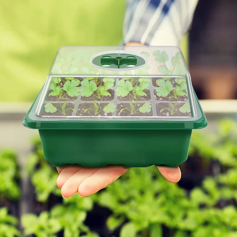 8 Stück Zimmergewächshaus Anzuchtkasten, Saatgut Starter Tray 96 Zellen Mini Gewächshaus Anzucht Set Setzling Starter Tabletts Mini-Propagator für Sämling Pflanze (Schwarz) – Bild 3