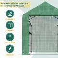 Outsunny Foliengewächshaus begehbares Gewächshaus mit 8 Regalebenen Tomatengewächshaus Treibhaus Frühbeet mit Tür Grün Stahl PE-Kunststoff 244 x 180 x 210 cm - Thumbnail 3
