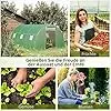 Outsunny Foliengewächshaus begehbares Polytunnel 4,5 x 3 m Gewächshaus mit 6 Fenster Treibhaus Frostschutz Stahlrohr Dunkelgrün - Thumbnail 2