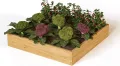 holz4home® Hochbeet aus Kieferholz I 110x110x24 cm I Beetrahmen Holz I Gartenbeet zum Anbau von Gemüse & Blumen I Blumenbeet Holz Gemüseanbau - Thumbnail 1