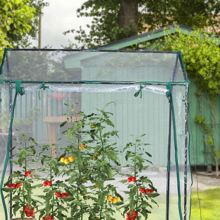 Relaxdays Foliengewächshaus, PVC-Folie, aufrollbare Tür & Fenster, HBT: 152x132x92 cm, Gewächshaus Tomaten, transparent – Bild 5