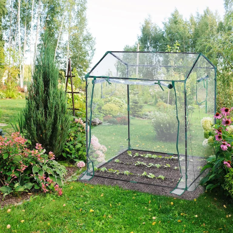 Relaxdays Foliengewächshaus, PVC-Folie, aufrollbare Tür & Fenster, HBT: 152x132x92 cm, Gewächshaus Tomaten, transparent – Bild 2