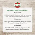 Sperli Salat-Tomatensamen Fantasio, F1 83461 - resistente Sorte - ertragreich - widerstandsfähig - für Gewächshaus - Samen Gemüse, Gemüse Pflanzen - Thumbnail 3