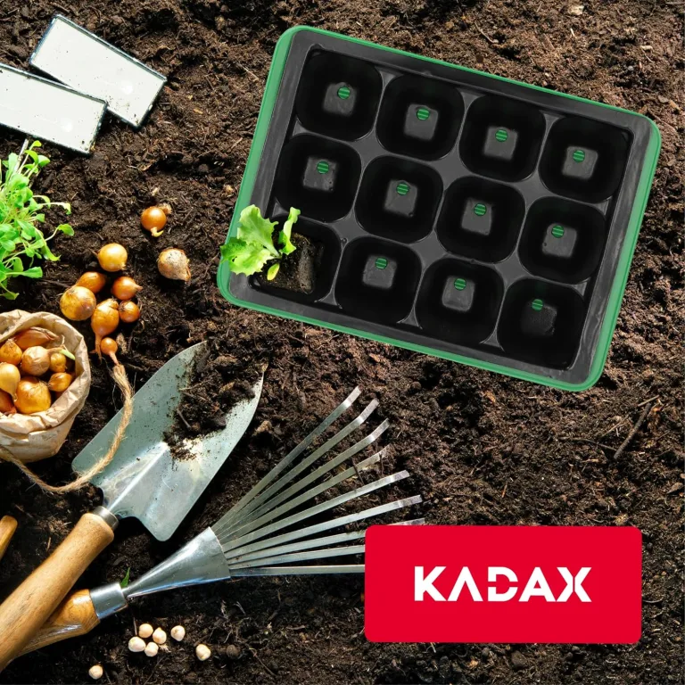 KADAX Mini-Gewächshaus mit 12 Zellen – Anzuchtkasten mit Deckel aus Kunststoff, ideale Anzuchtschale zur Pflanzenanzucht auf der Fensterbank – Bild 6
