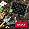 KADAX Mini-Gewächshaus mit 12 Zellen – Anzuchtkasten mit Deckel aus Kunststoff, ideale Anzuchtschale zur Pflanzenanzucht auf der Fensterbank – Bild 2