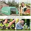 Outsunny Foliengewächshaus Polytunnel 6 x 3 x 2 m begehbares Gewächshaus mit aufrollbar Abdeckungen Folientunnel Treibhaus UV-Schutz Stahlrohr Grün – Bild 2