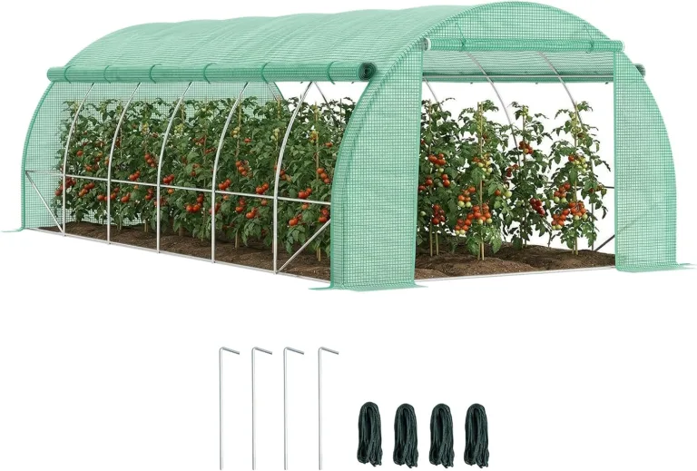 Outsunny Foliengewächshaus Polytunnel 6 x 3 x 2 m begehbares Gewächshaus mit aufrollbar Abdeckungen Folientunnel Treibhaus UV-Schutz Stahlrohr Grün – Bild 1