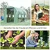Outsunny Foliengewächshaus, 2,95 x 2 x 2 m Tunnel-Gewächshaus, Treibhaus mit aufrollbarem Fenster, UV-Schutz, Winddichtes Tomatenhaus, für Garten, Balkon, Stahl, Grün – Bild 2