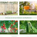 Outsunny Gewächshaus mit Tür, Winterfest Foliengewächshaus aus Stahl, Treibhaus für Balkon, Garten, Tomatenhaus 100x50x150cm, Tomatengewächshaus für Tomaten, Gemüse, Blumen, Pflanzen, Transparent - Thumbnail 5