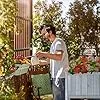 Relaxdays Hochbeet Holz, Pflanzbeet auf Stelzen, HBT: 80,5 x 74 x 38 cm, Garten, Balkon & Terrasse, mit Folie, grau – Bild 2